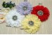 Daisy Blingy Chiffon Flower (12 cm)